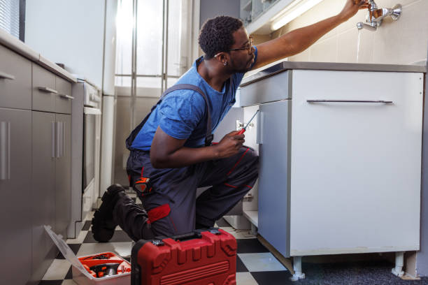 Best Septic Systems  in La Villa, TX